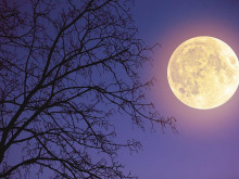 В следващите дни ще наблюдаваме "призрачна" Луна