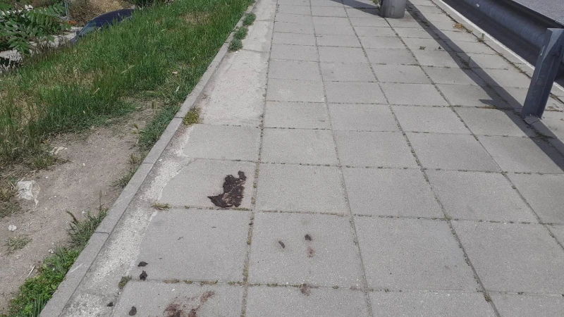 Грозна гледка на тротоар в Пловдив