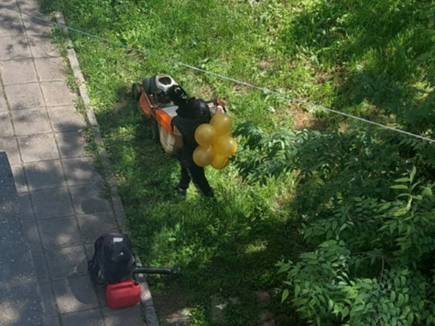 TD Дама с вързани на гърба балони коси трева в центъра