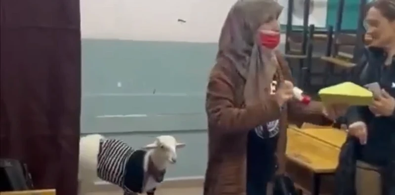 Жена гласува с козата си на изборите в Турция