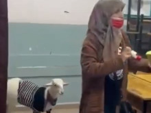 Жена гласува с козата си на изборите в Турция