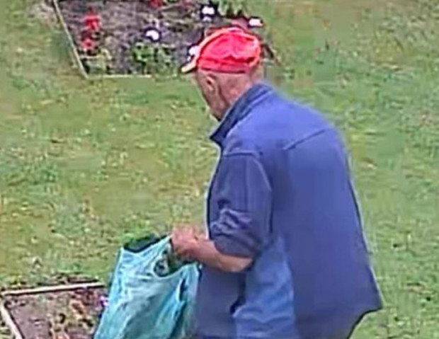Възрастен мъж най-безцеремонно изкорени цветя от обществена градинка в кв.