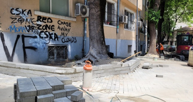 Корените на дърво изместват основите на жилищна сграда във Варна