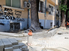 Корените на дърво изместват основите на жилищна сграда във Варна