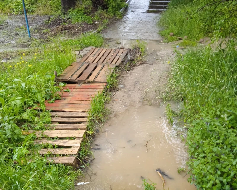 Великотърновци трябва да са много добри плувци, за да преминат от тук