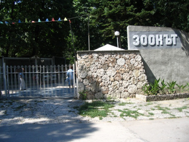 Голямо шоу готви зоопаркът във Варна за 1 юни, научи
