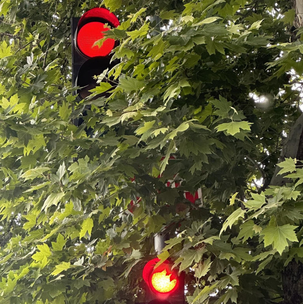 TD Почти невидим светофар създава опасност в Пловдив разбра Plovdiv24 bg  Във фейсбук групата