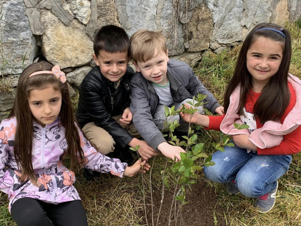 Бъдещи първокласници засадиха дръвчета в двора на ДГ "Славейче" в Смолян