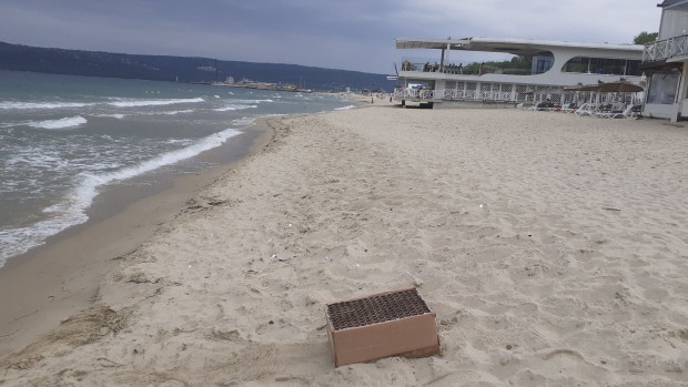 Мизерия на плажа във Варна разбуни духовете в социалната мрежа.