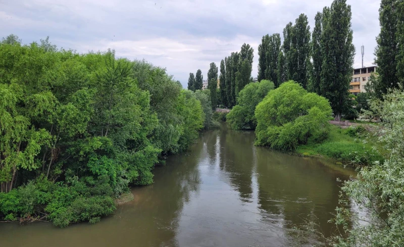Гората в Марица избуя още повече
