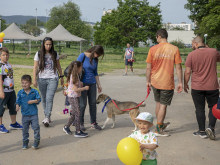 Полезен и интересен беше тазгодишния празник за деца и кучета в Стара Загора