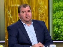 Явор Гечев: Кризата с вноса на украинска земеделска продукция не е овладяна