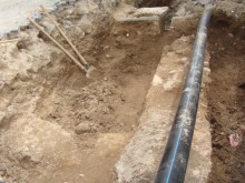 Откриха идеално запазен скелет на кон в разкопките на "Гладстон"