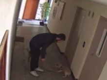 ���� ��� � ����� � ������������ ��������� ��� ���������� ����