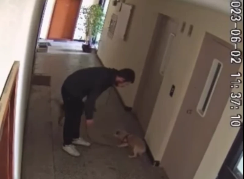 Млад мъж рита малко кученце в блок в София