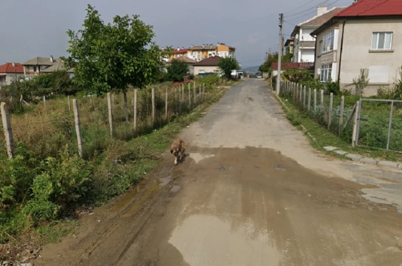 Разследват убийство на куче в Кърджалийско