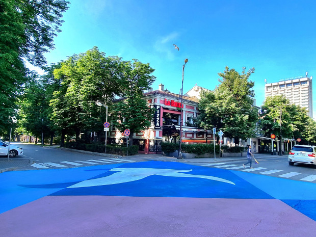 Проект на VarnaSpaces / Пространствата на Варна оживи с цветове