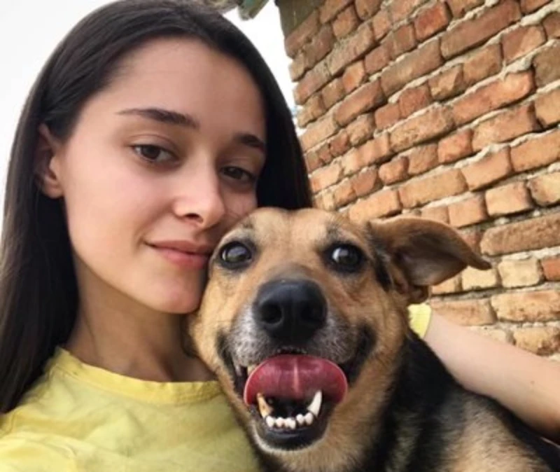 ������� �� "�������": ���������� ������ � ������ ������� ��