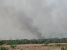 Огнеборците предприемат мерки за опазване на реколтата от пожари