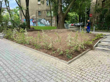 Обновиха градината срещу Румънското посолство в София