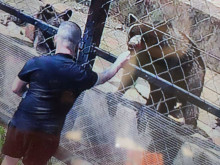 Забравиха ли посетителите на зоопарка в Стара Загора случката с понито и отхапаните пръсти?