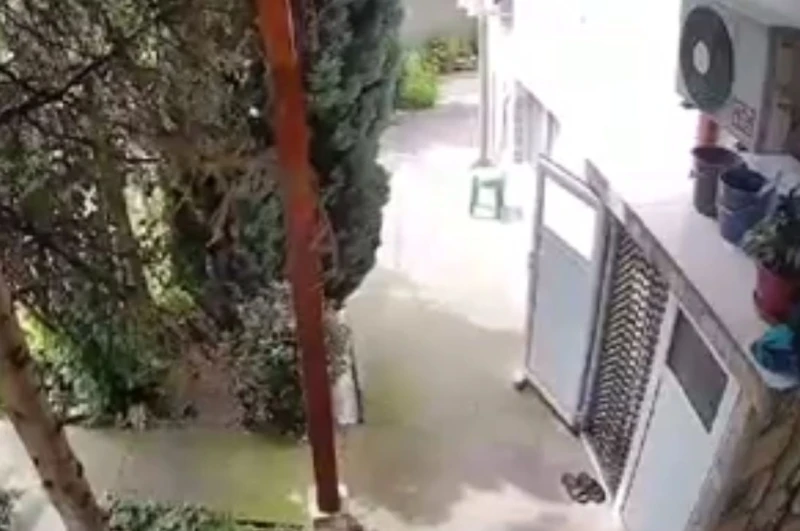 Появи се видео със звук от силното земетресение!