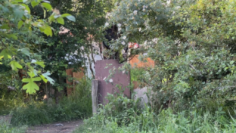 Столичани алармират: Незаконно гето в квартал "Младост" 