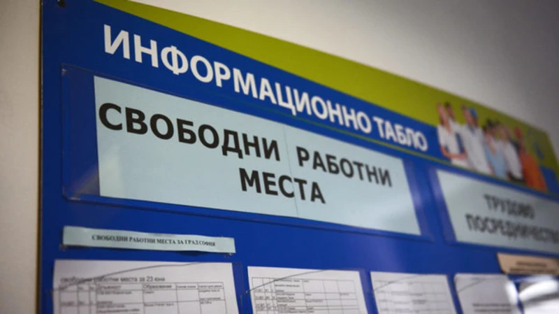 Полезно за загубилите работа: Сроковете, които трябва да следим за записване в бюрата по труда