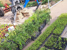 "Чудната градина" помага на пострадалите от градушката жители на село Дончево