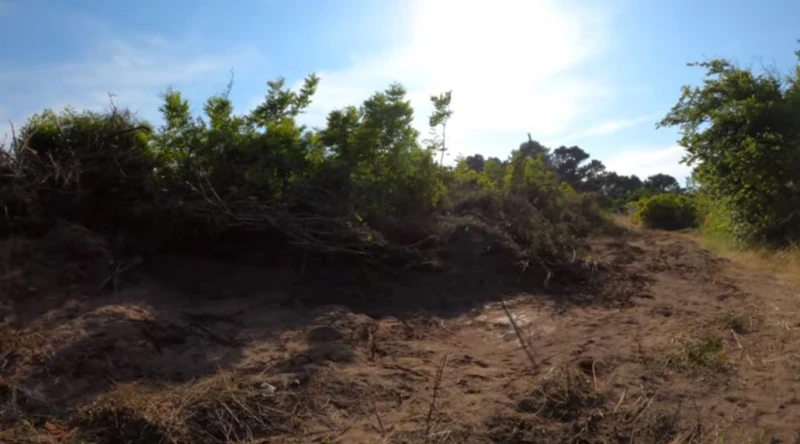 Гражданин сигнализира: Багер на Община Царево унищожава защитени дюни на плаж Корал