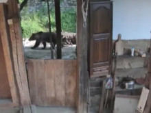 � ����� � �������� ����� ���������