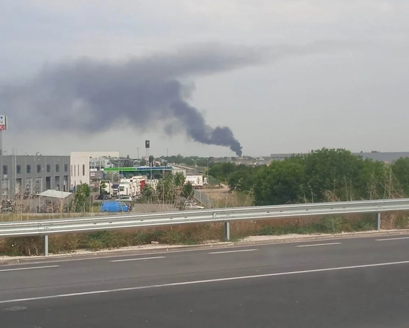 Пожар близо до Пловдив вдигна на крак огнеборци