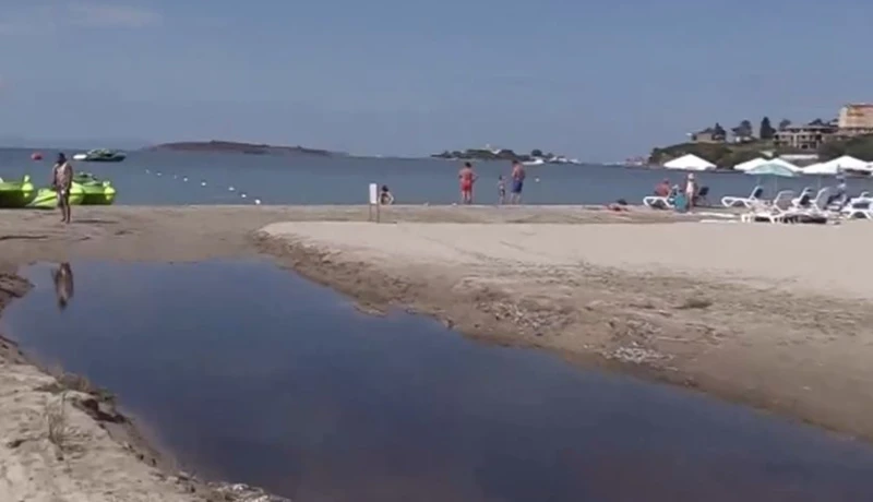 ������ ����� �� ���� ����� ��� ���� ������ ��������