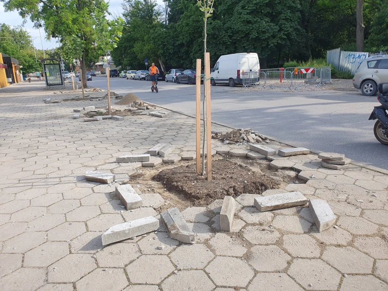ОП "Градини и паркове" замаза гаф отпреди няколко месеца