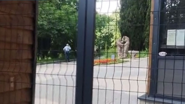 Овладяна е ситуацията в зоопарка в Стара Загора след бягството