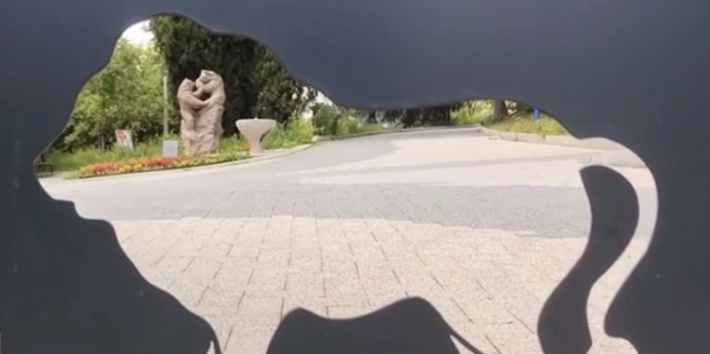�� ��� ��������� ������ ���������� �������� �� �������� � ����� ������