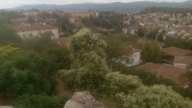 Граждани задържаха пловдивчанин докато мастурбира подпрян на дърво научи Plovdiv24 bg