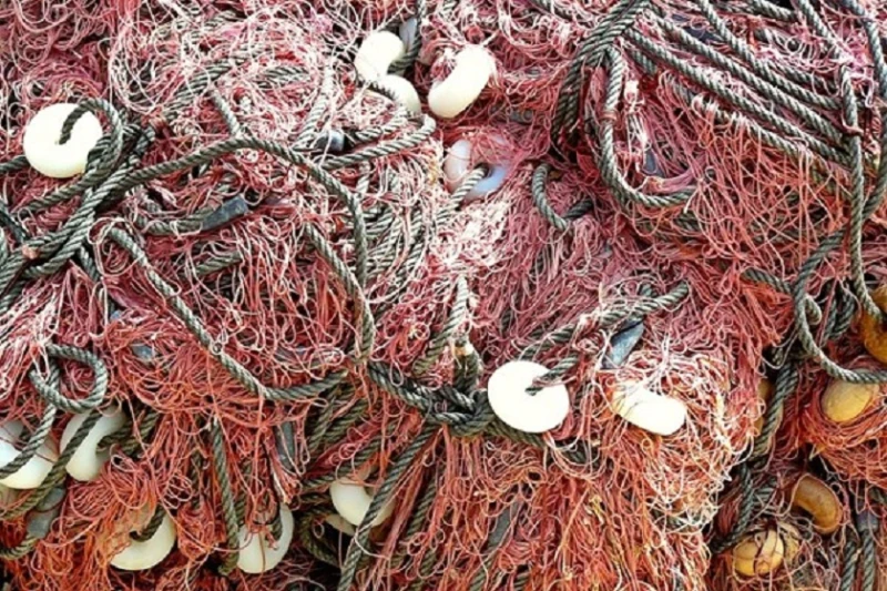 Служители на ИАРА извадиха 1100 метра незаконни мрежи за улов на калкан
