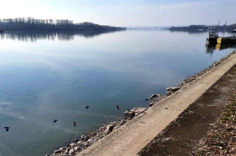 Няма данни за замърсяване в нашия участък на река Дунав след разлива край Нови Сад