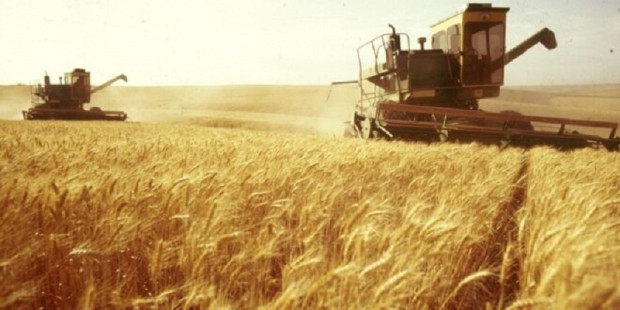 Родното земеделие работи на загуба За това сигнализират зърнопроизводители пред