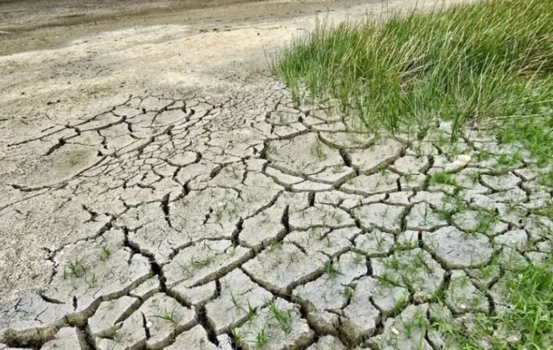 Суша в Ямболско, има опасност от воден режим през лятото 