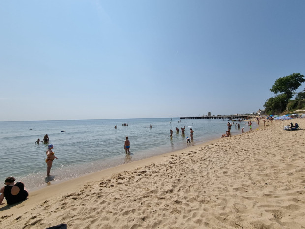Българка от родното Черноморие: Уникално! Кристално чиста морска вода с гонещи се малки рибки