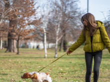 Варненска улица потъна в мръсотия: Чистят ли хората след кучетата си?
