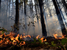 Пожарната в Смолян с правила за безопасност при разходки в гората