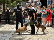 Демонстрация с митничарски кучета за разкриване на трафик на наркотици в Хасково