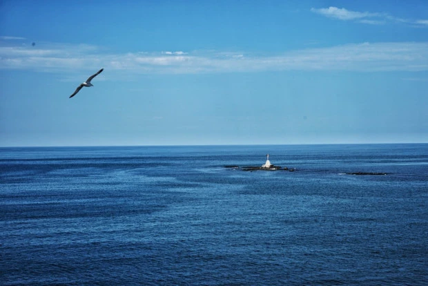 МОСВ: Няма замърсяване на водите на Черно море