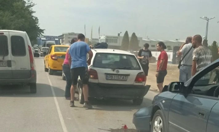 Верижна катастрофа в Пловдив заради големи кучета!