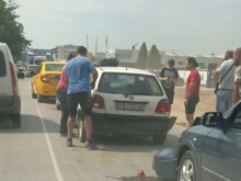 Верижна катастрофа в Пловдив заради големи кучета!