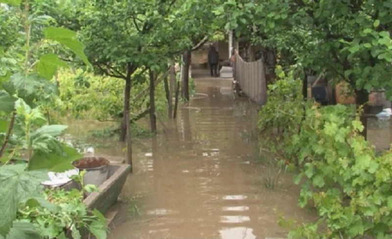 Заради наводненията: Агенцията за военновременните запаси предоставя провизии на Борован