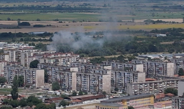 </TD
>За пожар в източната част на Пловдив научи Plovdiv24.bg. Според